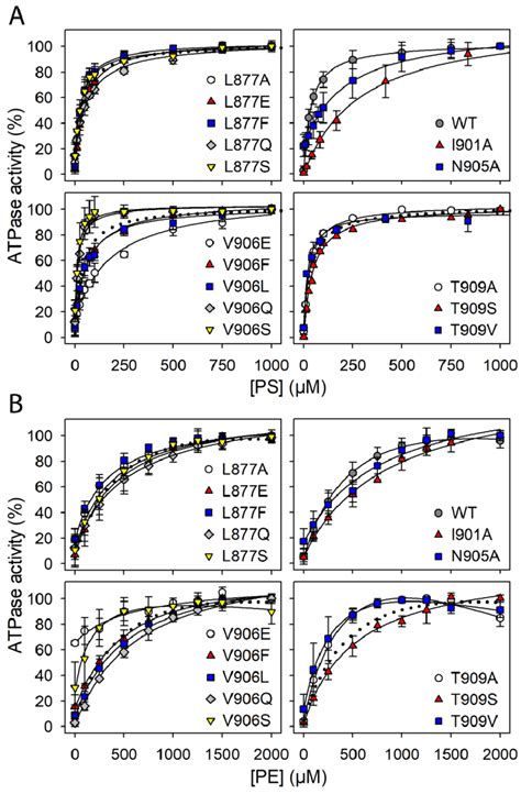 Examples Of The Ps And Pe Concentration Dependences Of Atpase Activity