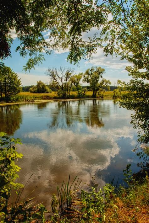 Free Images Landscape Tree Water Nature Forest Rock Wilderness