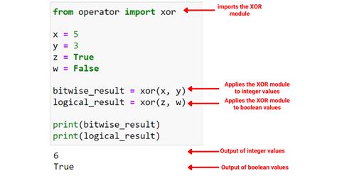 Python XOR Operator User Guide Master Data Skills AI