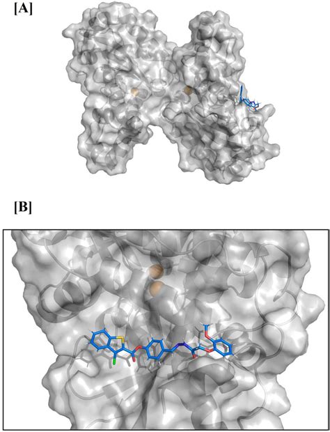 Representative Structure T From The Zinc Lcfesodb