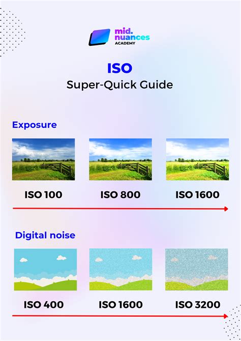 What is the ISO in photography? - Midnuances