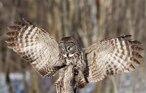 The Landing Photograph By Mircea Costina Photography Fine Art America