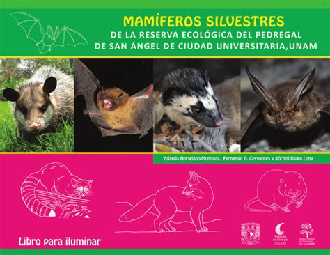 Pdf Mam Feros Silvestres De La Reserva Ecol Gica Del Pedregal De S N