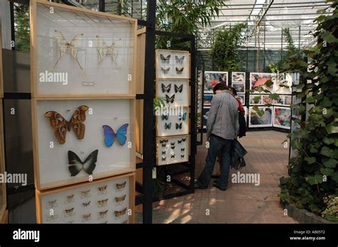 Butterfly Exhibition Hi Res Stock Photography And Images Alamy