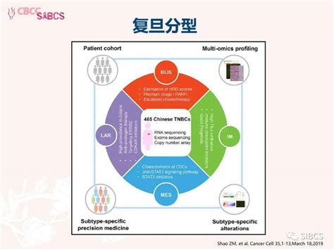 胡夕春：晚期三阴性乳腺癌的gap研究 搜狐大视野 搜狐新闻