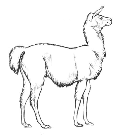 Dibujos De Llama Para Colorear Dibujos Para Colorear