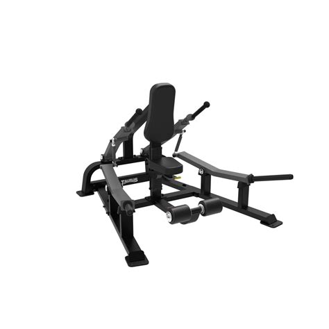 Taurus Iso Triceps Dip Sterling Taurus Fitness