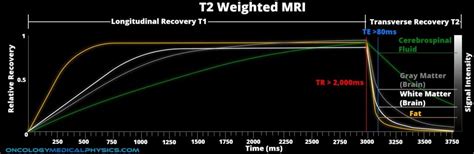 Mri Contrast Weighting Oncology Medical Physics