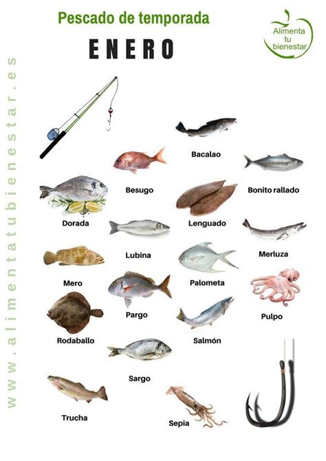 Pescado De Temporada Descarga El Calendario Para Todo El A O