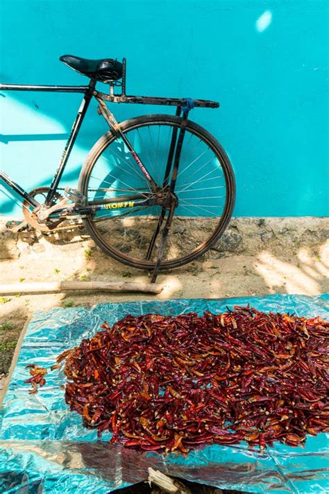 Wat Zijn Pil Pil Kruiden En Welke Recepten Zijn Lekker Green Gypsy