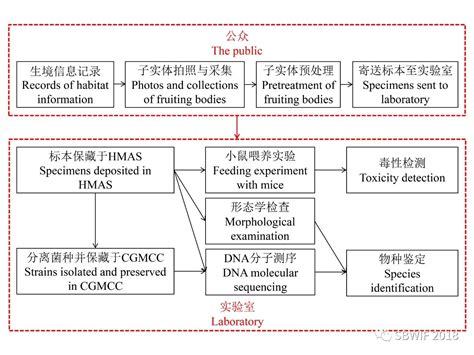 中国科学院微生物研究所菌物标本馆