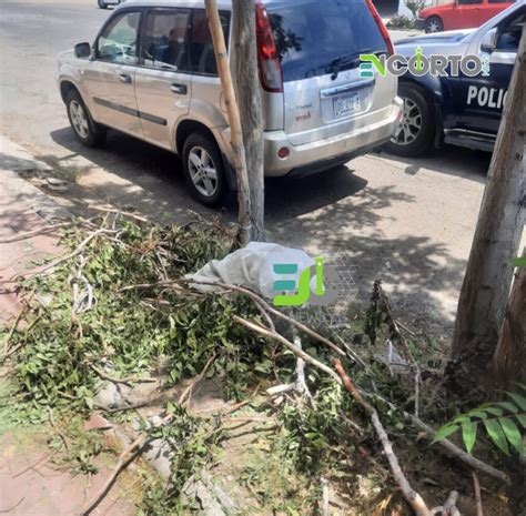 Costal Con Olores F Tidos Moviliza A Corporaciones De Seguridad