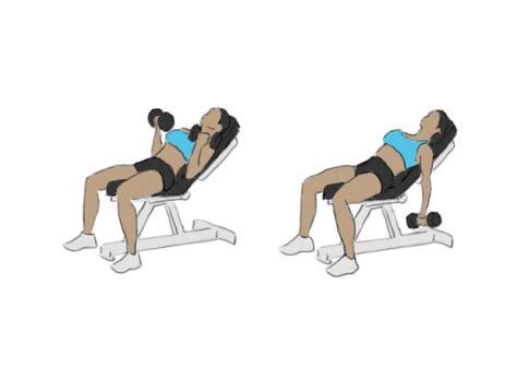 Incline Dumbbell Bicep Curl Gofitnessplan