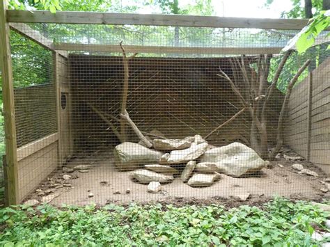 Catoctin Zoo -- Coati Exhibit - ZooChat