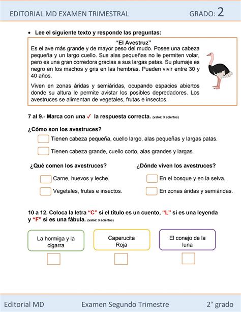 Planeaciones De Segundo Grado De Primaria Segundo Grado Hot Sex Picture