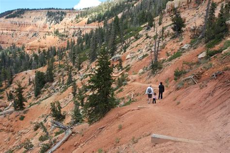 Cascade Falls Hike Near Cedar City Utah Free Arenas