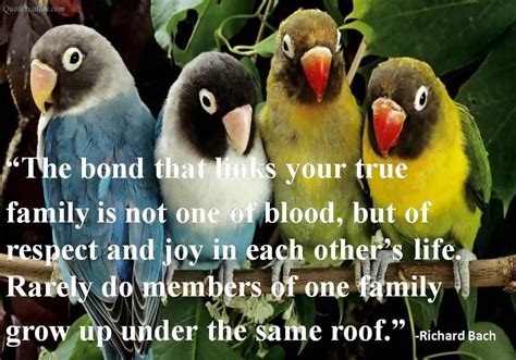 Strong Family Bond Quotes. QuotesGram