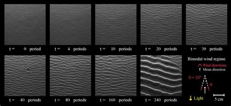 Formation of transverse sand dunes from a flat sand layer for θ = 33 ... | Download Scientific ...