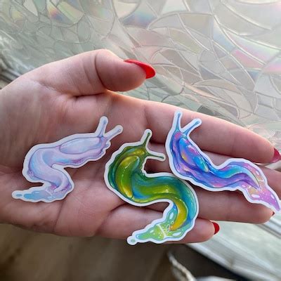 Slug Stickers Transparent Stickers Gastropods Cute Slugs Bug Lovers ...