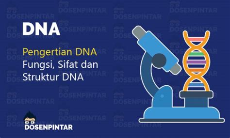 Dna Dan Rna Definisi Struktur Fungsi Dan Perbedaan —