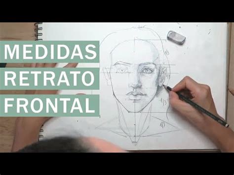 Medidas Para Dibujar Un Retrato Frontal Nivel Intermedio