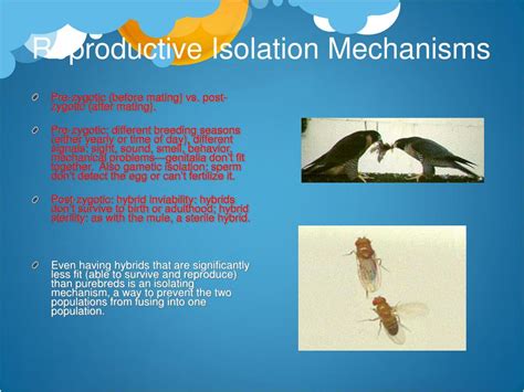 PPT - Speciation PowerPoint Presentation, free download - ID:1413531