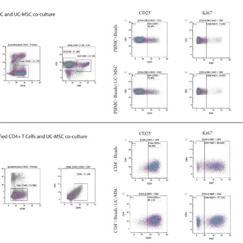 Gating Strategy Of CD4 T Cells Representative Gating Strategy For