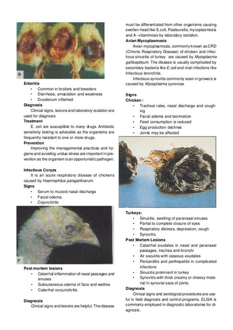 Poultry Diseases