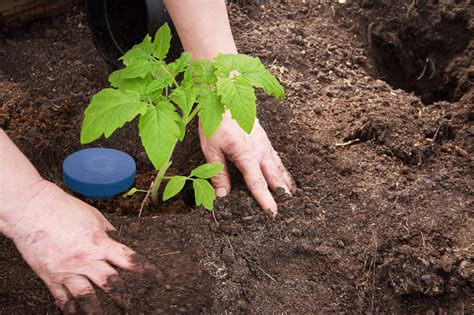 Soil Moisture Sensing For Forage Irrigation Sensoterra Wireless