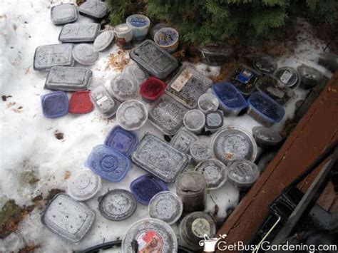 Winter Sowing Containers: What Works & What Doesn’t - Get Busy Gardening