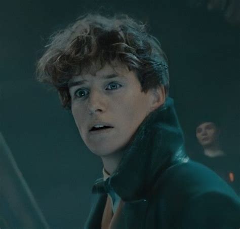 Pin On Newt Scamander Newt Scamander Fantastic Beasts Harry Potter