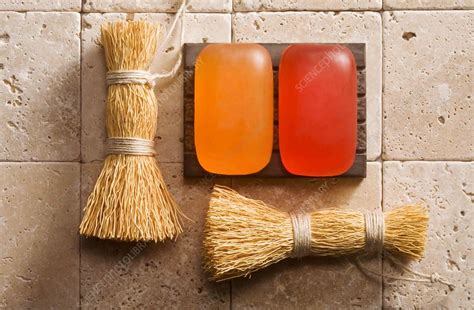 Soap And Brushes Stock Image C0477464 Science Photo Library