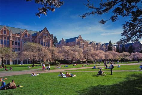 Download Students At The Quad University Of Washington Wallpaper ...