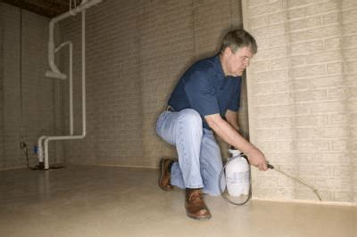 How to Remove Mold from Basement Walls - EasyHomeTips.org