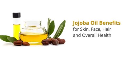 15 Jojoba Oil Benefits For Skin Face Hair And Body Daily Health Cures