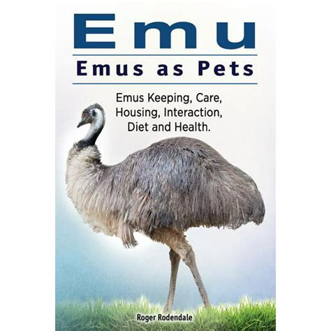 Emu. Emus as Pets. Emus Keeping, Care, Housing, Interaction, Diet and Health - Walmart.com ...