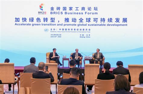 BRICS' role in the global systemic transition to multipolarity - CGTN 