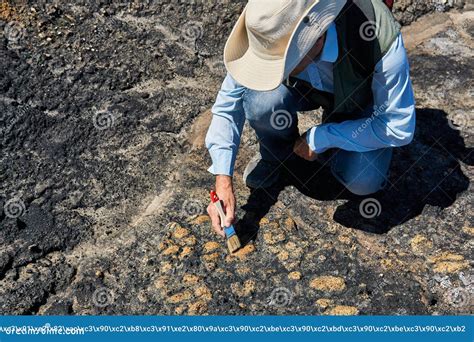 Paleontologist Discovered Some Fossils and Cleans it with a Brush Stock ...