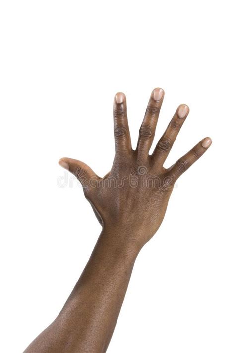 Hand Of Black Man Stock Photo Image Of Finger Fingers 8170098