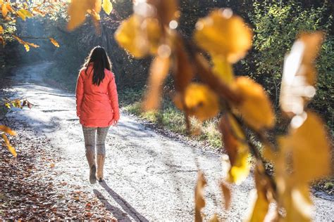 Critical Failure To Answer Basic Questions About Sex Crimes Against Women