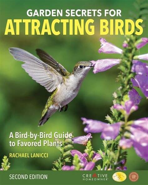 National Bird Feeding Month – Somerset County Library System of New Jersey