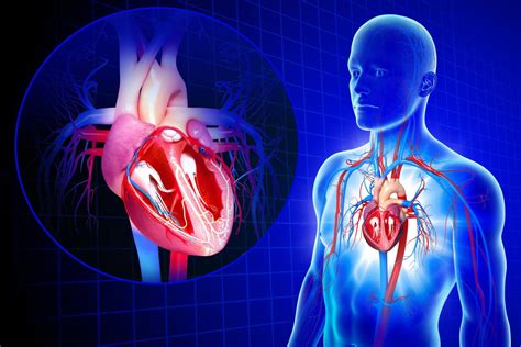 Preventing Cardiovascular Disease And Vascular Aging Part 2 El Paso