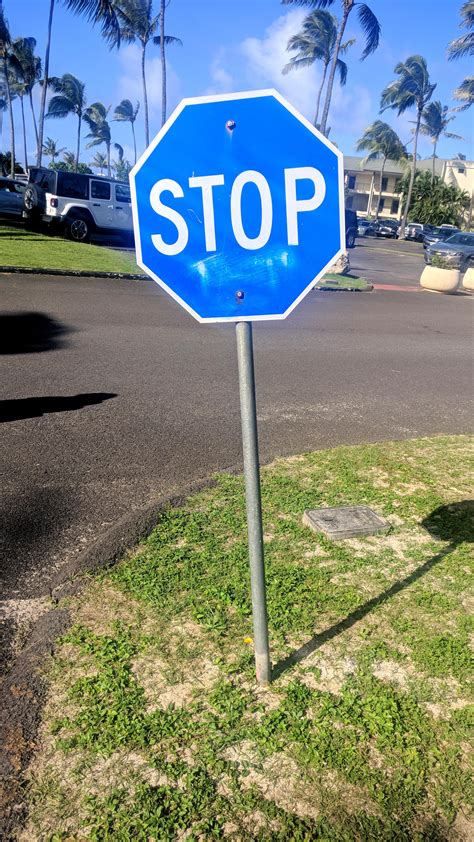 This Blue Stop Sign... : r/mildlyinteresting