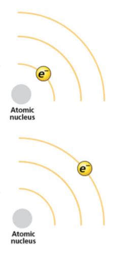 Mastering Biology Hw Ch Atoms And Molecules Flashcards Quizlet