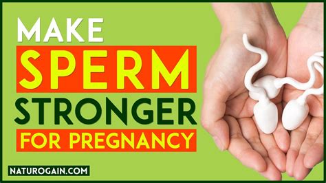 How To Make Sperm Thicker And Stronger For Pregnancy 🤦‍♂️💦🤰🤰 Youtube