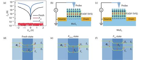 A Gate Free Mos 2 Phototransistor Assisted By Ferroelectrics