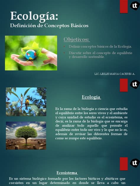 Ecologia Definición De Conceptos Básicos Pdf Ecología Habitat