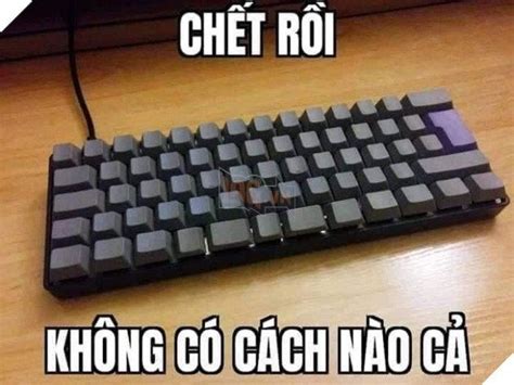 Hết Cách Rồi Memes Anime Lyrics Goofy Pictures