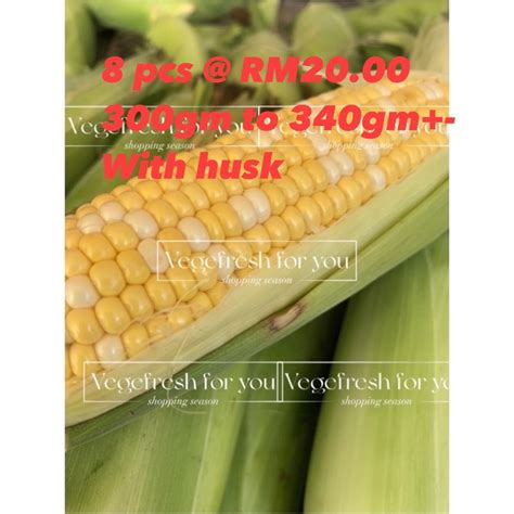 Rm For Pcs Cameron Highlands Pearl Corn Jagung Mutiara