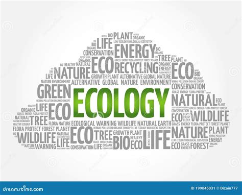 Ecology Word Cloud Stock Illustration Illustration Of Clean 199045031